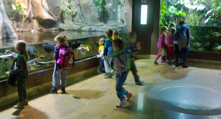 Gm. Przodkowo. Lekcje w planetarium i oceanarium