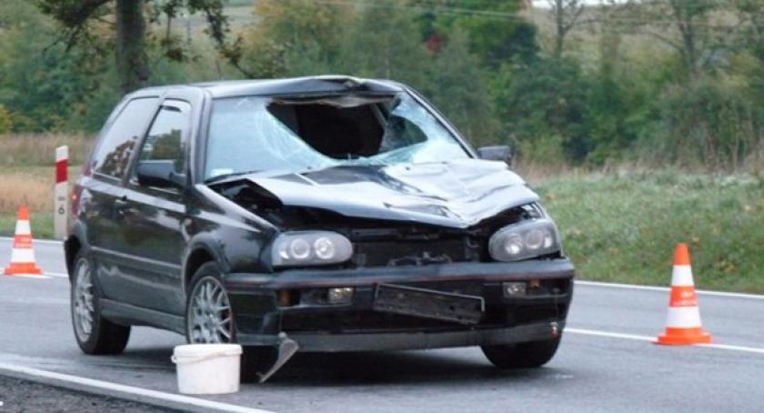 Policja szuka świadków dwóch śmiertlenych wypadków