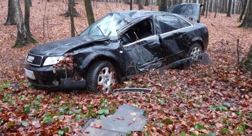 Kartuzy. Audi uderzyło w drzewo