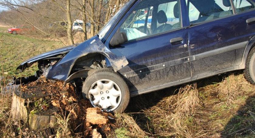 Gm. Stężyca. Peugeot rozbity na drzewie