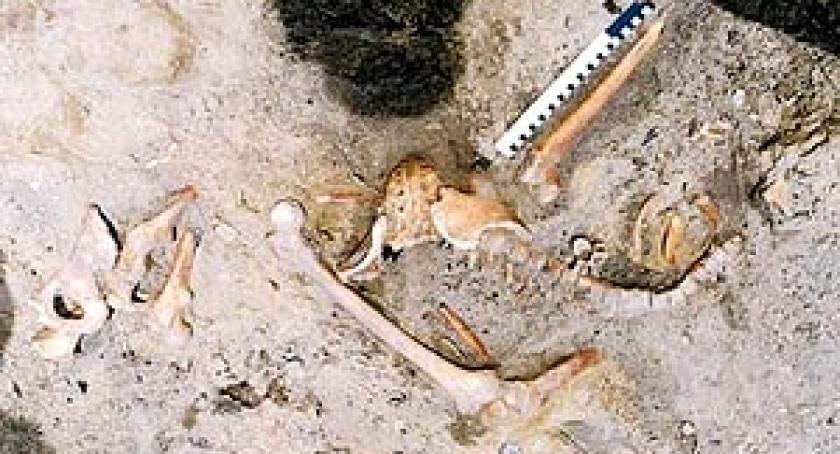 Drogowcy natrafili na ludzkie szczątki