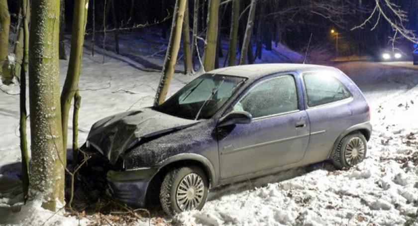Grzybno. Opel uderzył w drzewo