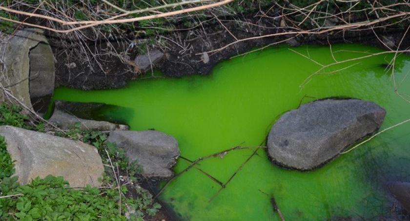 Kartuzy. Wiadomo co wyciekło do Jeziora Karczemnego