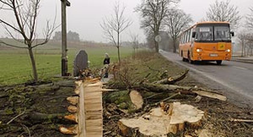 Ścięto drzewo - symbol tragedii sprzed czternastu lat
