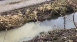 Somonino. Skąd płyną nieczystości do rzeki Radunia? 