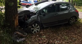 Sulęczyno-Lipusz. Peugeot uderzył w drzewo - są ranni