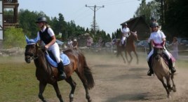 VII Mistrzostwa Szwajcarii Kaszubskiej w Skokach przez Przeszkody