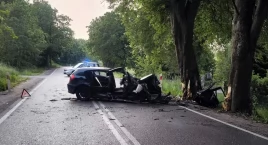 BMW uderzyło w drzewo. 17-latka nieprzytomna, dwoje 18-latków w szpitalu