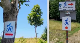 Poznaj nowy szlak nordic walking w gminie Somonino – wspólny spacer już 27 lipca