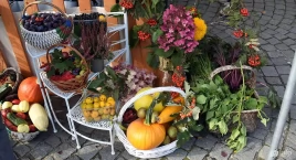 Powiatowe Targi Produktów Regionalnych - smaki Kaszub na kartuskim Rynku