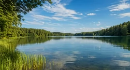 Szkolenie w ramach programu „Wolontariat na rzecz jezior”. Nauka, praktyka i ochrona środowiska wodnego