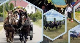 Konie, zawody i zabawa – wszystko to podczas Wielkie&hellip;