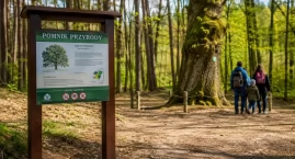 Te drzewa skrywają niezwykłe historie. Mieszkańcy gm&hellip;