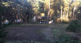 Teren po byłym campingu w Borowie zmieni się w plac rekreacyjny? Jest zgoda Lasów Państwowych