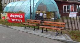 Gmina musi udostępnić dla ruchu drogę pomiędzy parkingiem a kwiaciarnią na Placu Brunona w Kartuzach 
