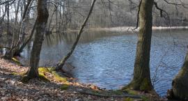 Jezioro Małe Łąki (Łąckie)