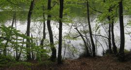 Jezioro Lubygość (Lubogoszcz)