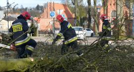 Powalone drzewa, zniszczone budynki, jedna ofiara śmiertelna - to bilans wichury w Kartuskiem