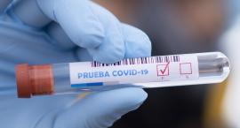 Koronawirus na Pomorzu - pięć kolejnych ozdrowień i trzy zgony w ciągu ostatniej doby
