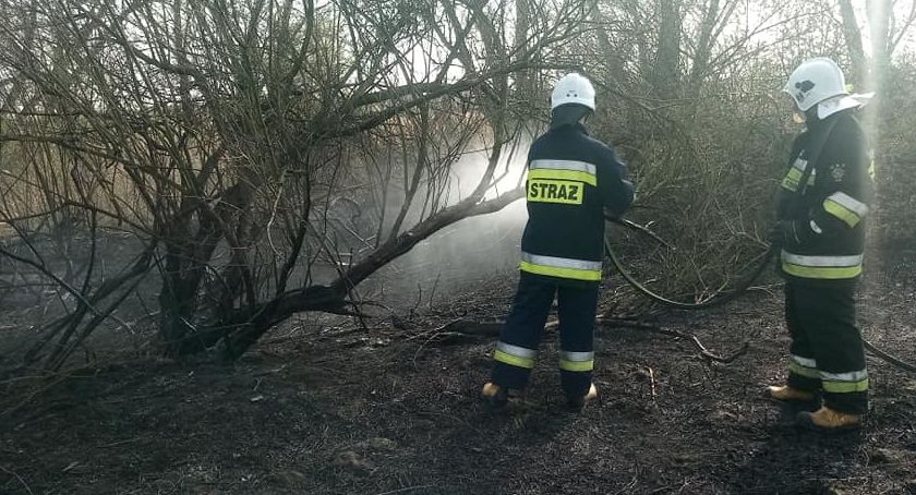 Znów się palił las w Długowoli