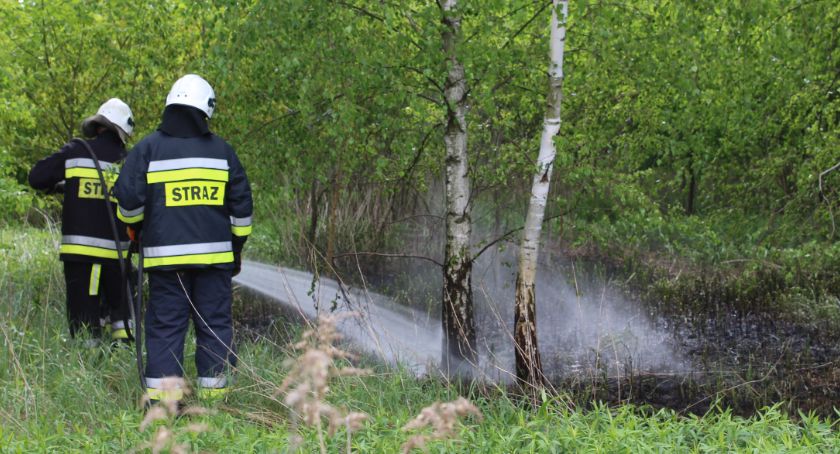Dęblin. Paliła się trawa za garażami