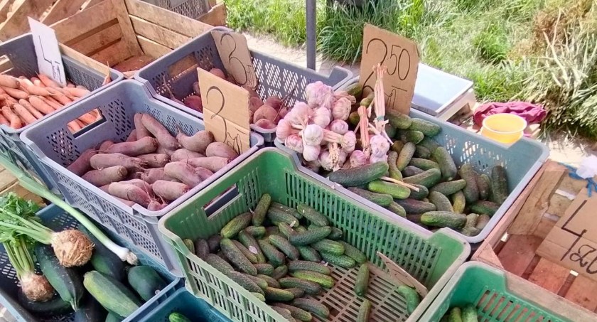 Po ile są ogórki i cebula? Środowy targ w Dęblinie