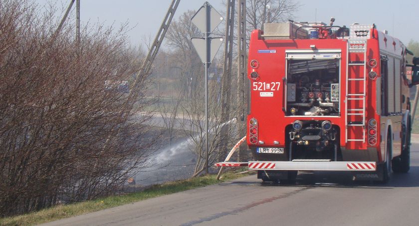 Na Fortach płonie trawa