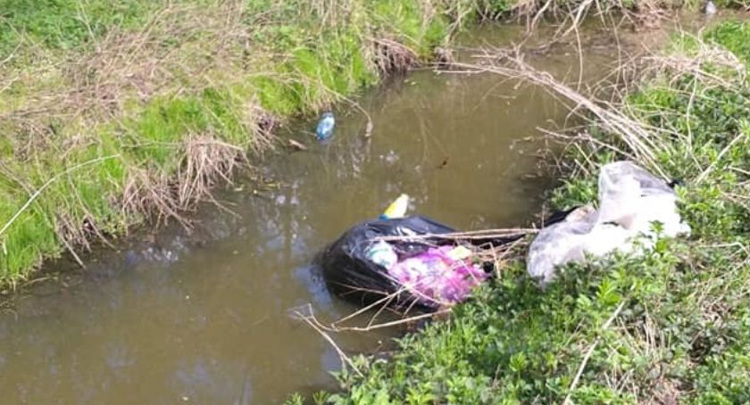 Zostawili śmieci w lesie i... swoje dane kontaktowe