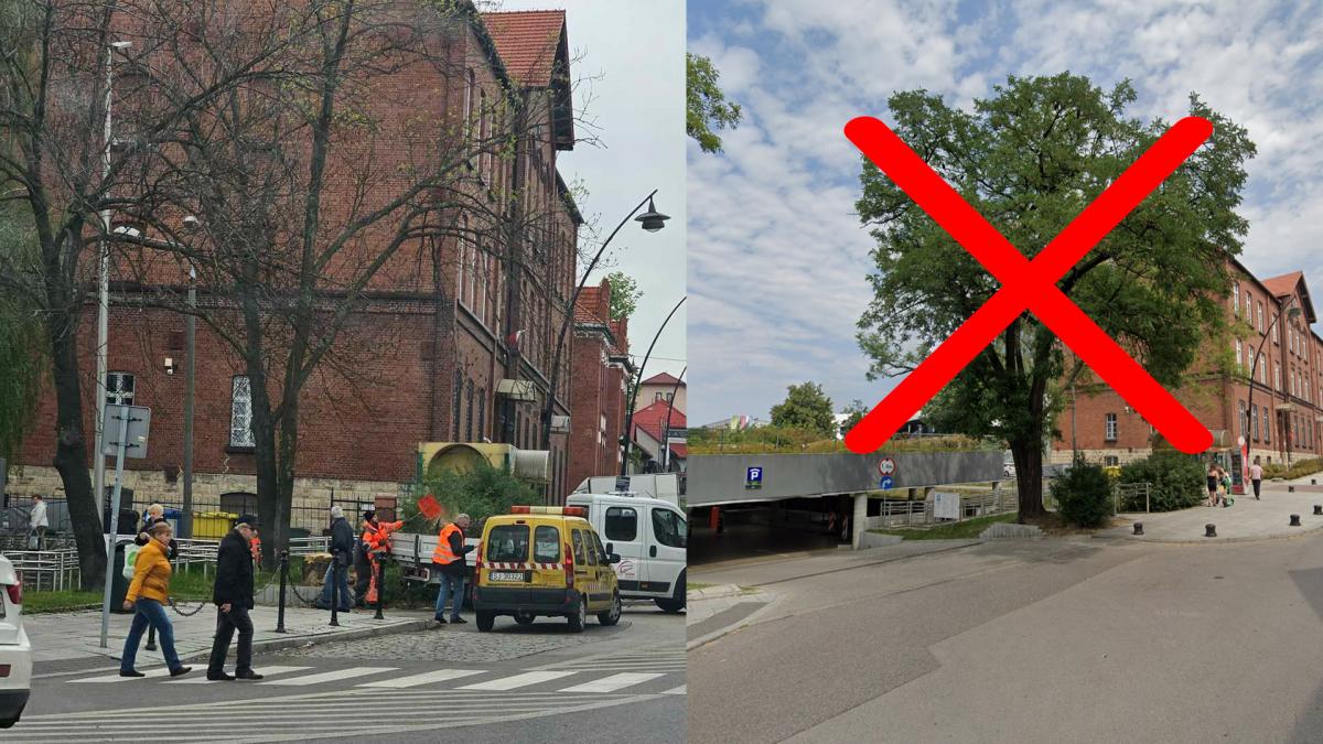 Wycięli drzewo na ul. Mickiewicza
