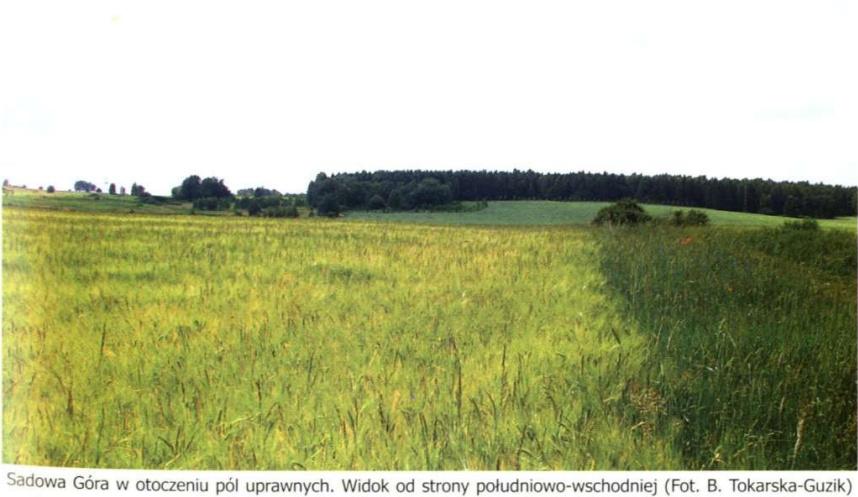Stowarzyszenie Zielone Jaworzno- interwencja mieszkańców ulicy Wolności