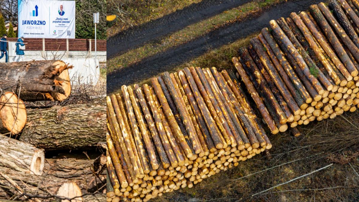 Cuda nad urną. List Stowarzyszenia Zielone Jaworzno