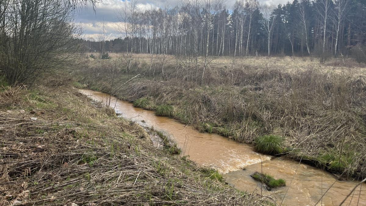 Mieszkańcy zaniepokojeni stanem rzeki Kozi Bród