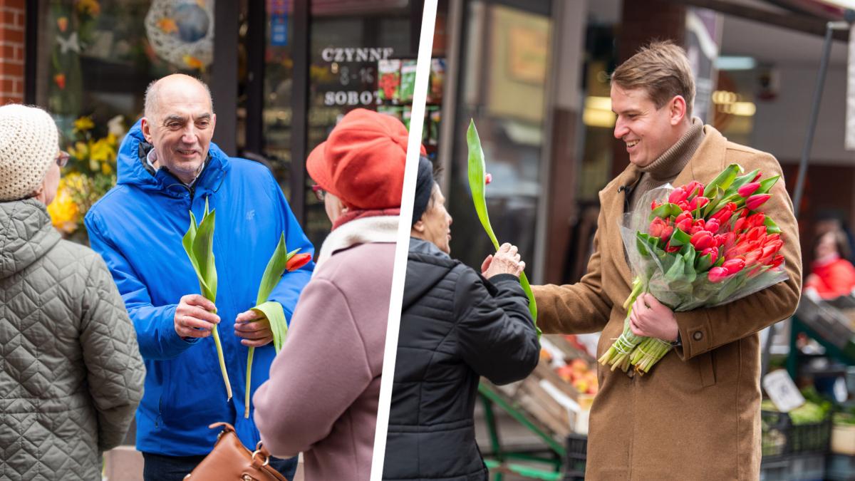 Tulipany od Silberta i Kirkera z okazji Dnia Kobiet