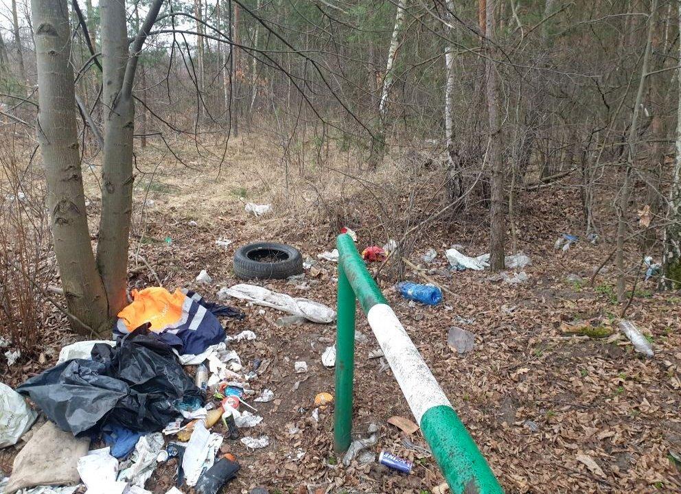 Zaśmiecone posesje i tereny zielone. Straż miejska podsumowuje kontrole w 2023 roku