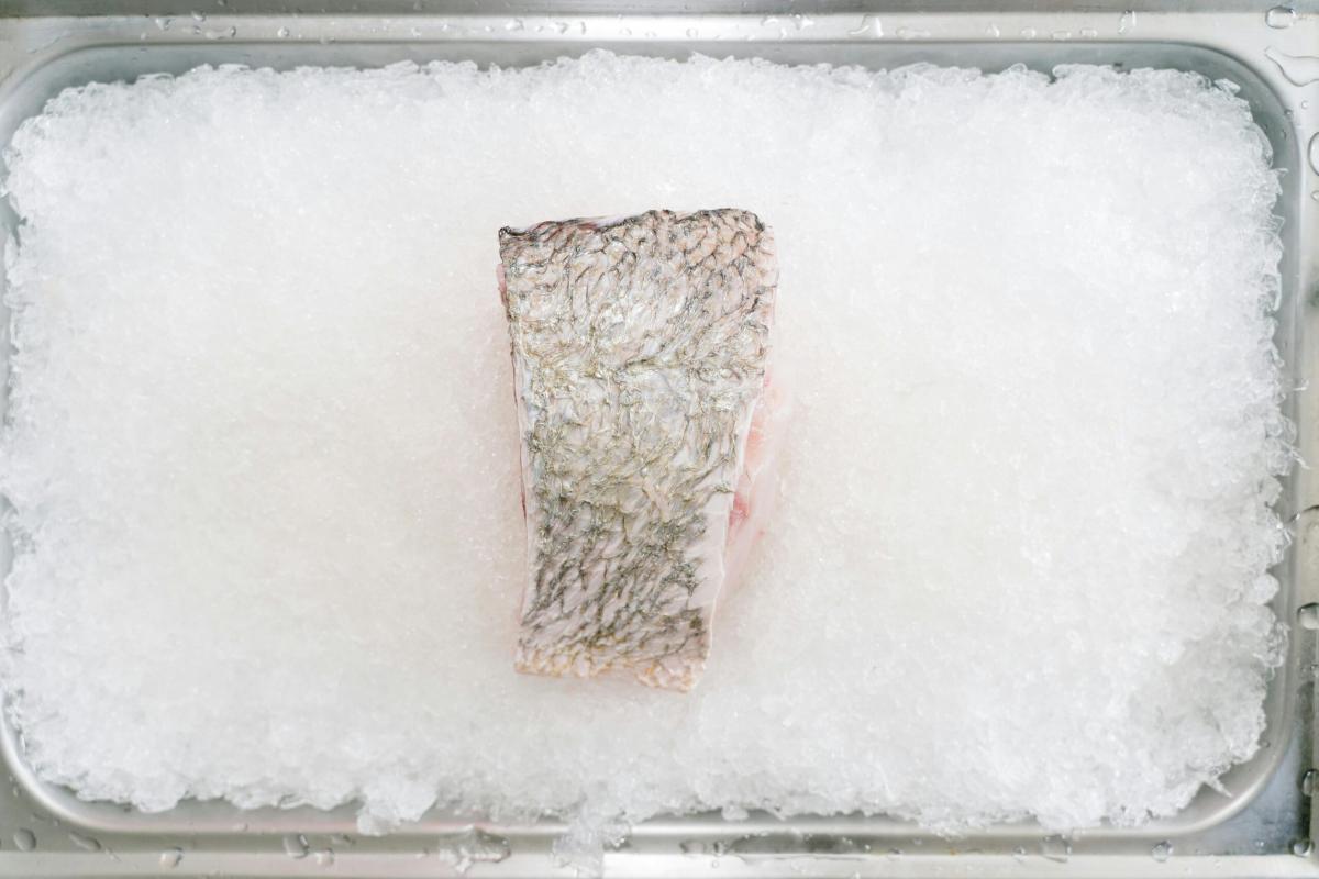 Na co zwrócić uwagę kupując zamrażarkę do gastronomii?