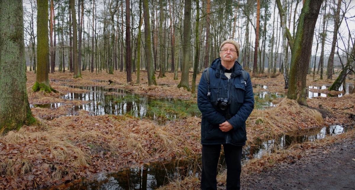 Poznać, pokochać, chronić. Dęby z ulicy Długiej