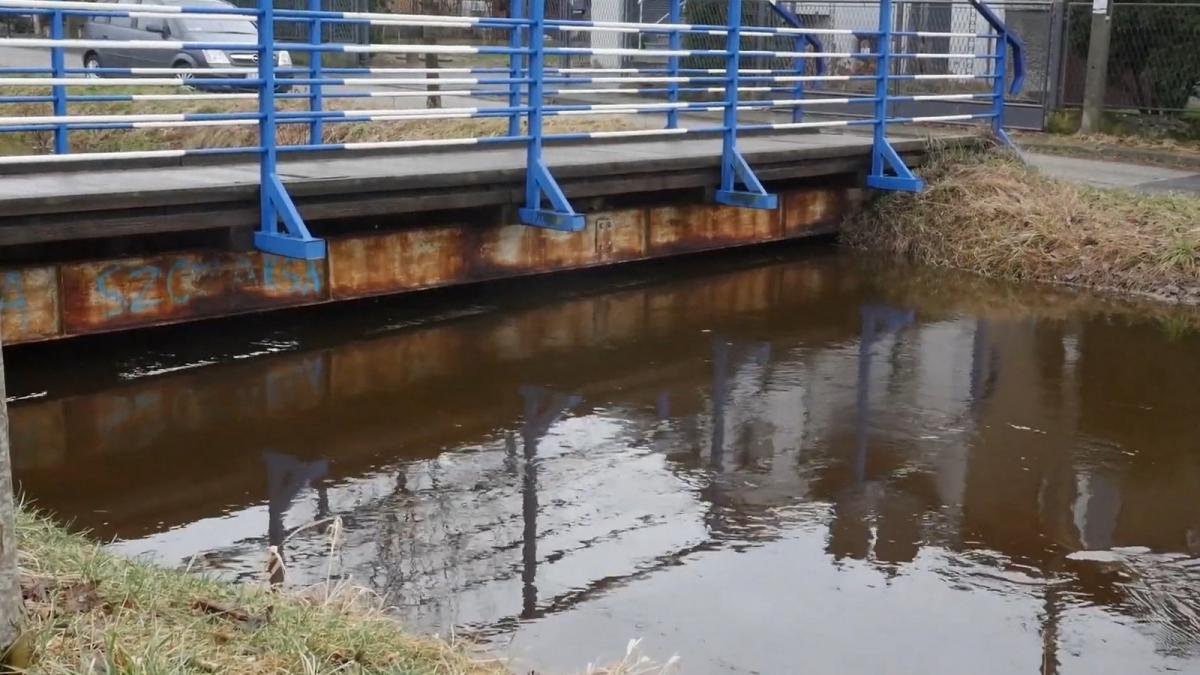 Wysoki poziom rzeki Kozi Bród w Szczakowej