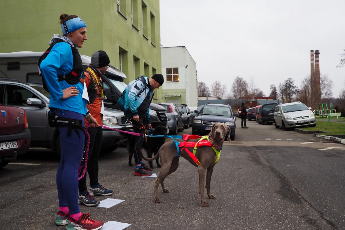 Silesia Race Jaworzno Szczakowa 2024