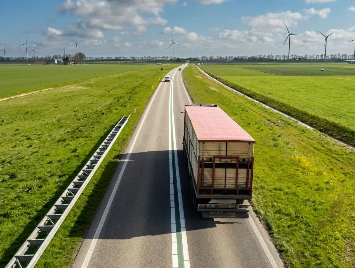 Firma transportowa czy spedycyjna? Jak wybrać odpowiednią firmę dla Twoich potrzeb logistycznych