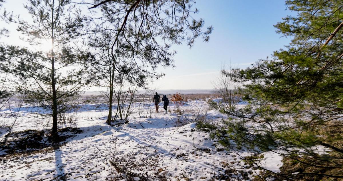 STOP wycince drzew w Jaworznie - Powstało Stowarzyszenie Zielone Jaworzno