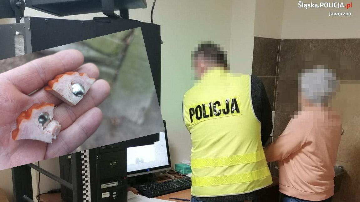 Przyznała się do winy! Rozrzucała kiełbasę z pinezkami bo frustrowały ją szczekające psy sąsiadów.