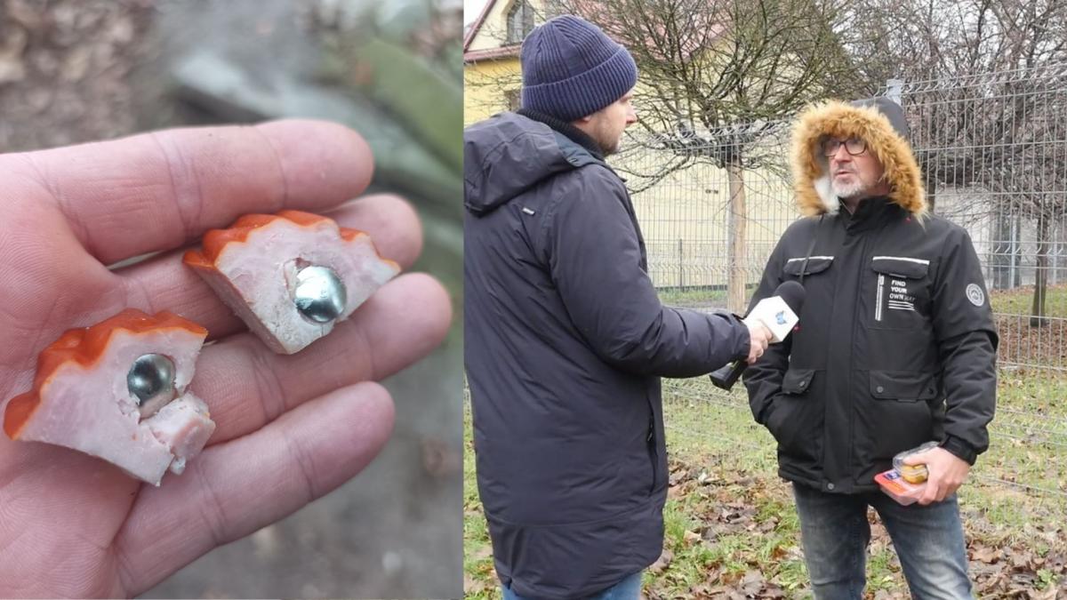 Mieszkańcy na własną rękę poszukują dręczyciela zwierząt