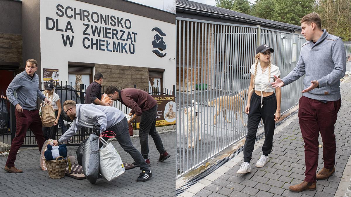 Zbiórka darów na rzecz schroniska dla zwierząt w Chełmku okazała się dużym sukcesem