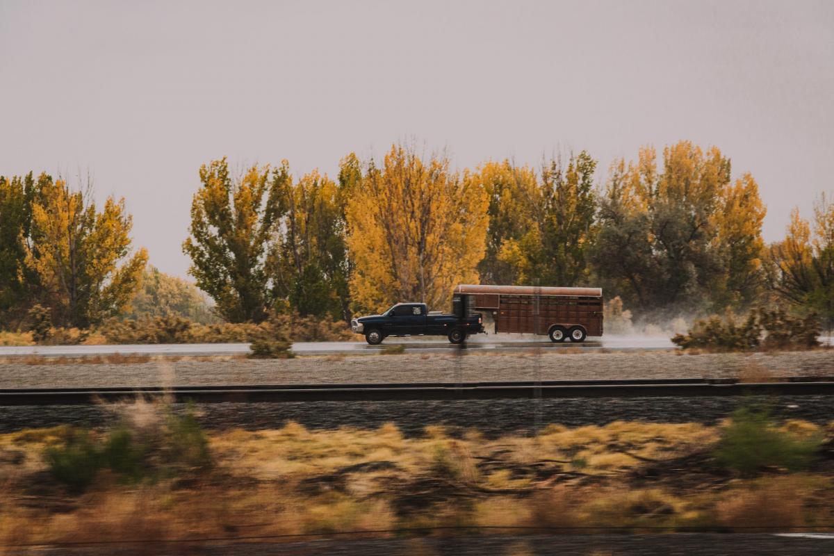 Rola przyczep ciężarowych w transporcie towarów