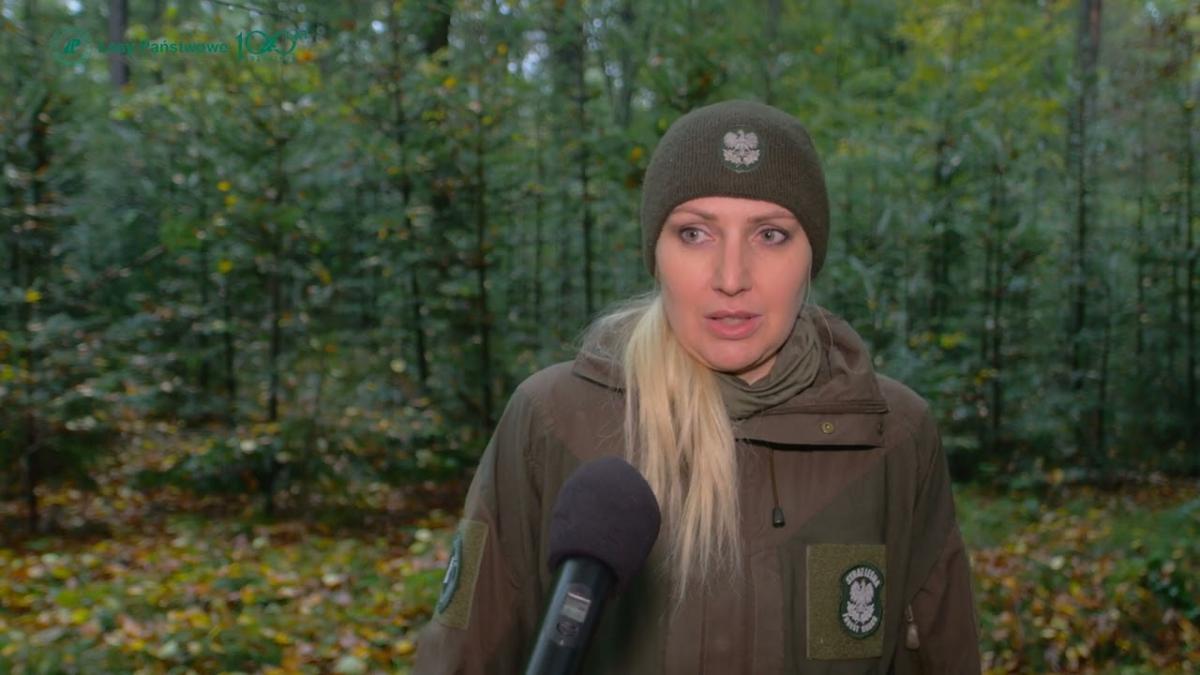 Ciekawe przypadki z fotopułapki