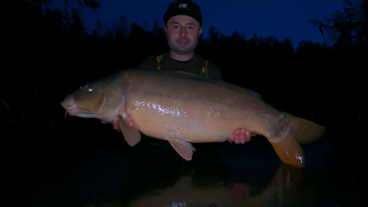 Nocny połów karpi w Jaworznie