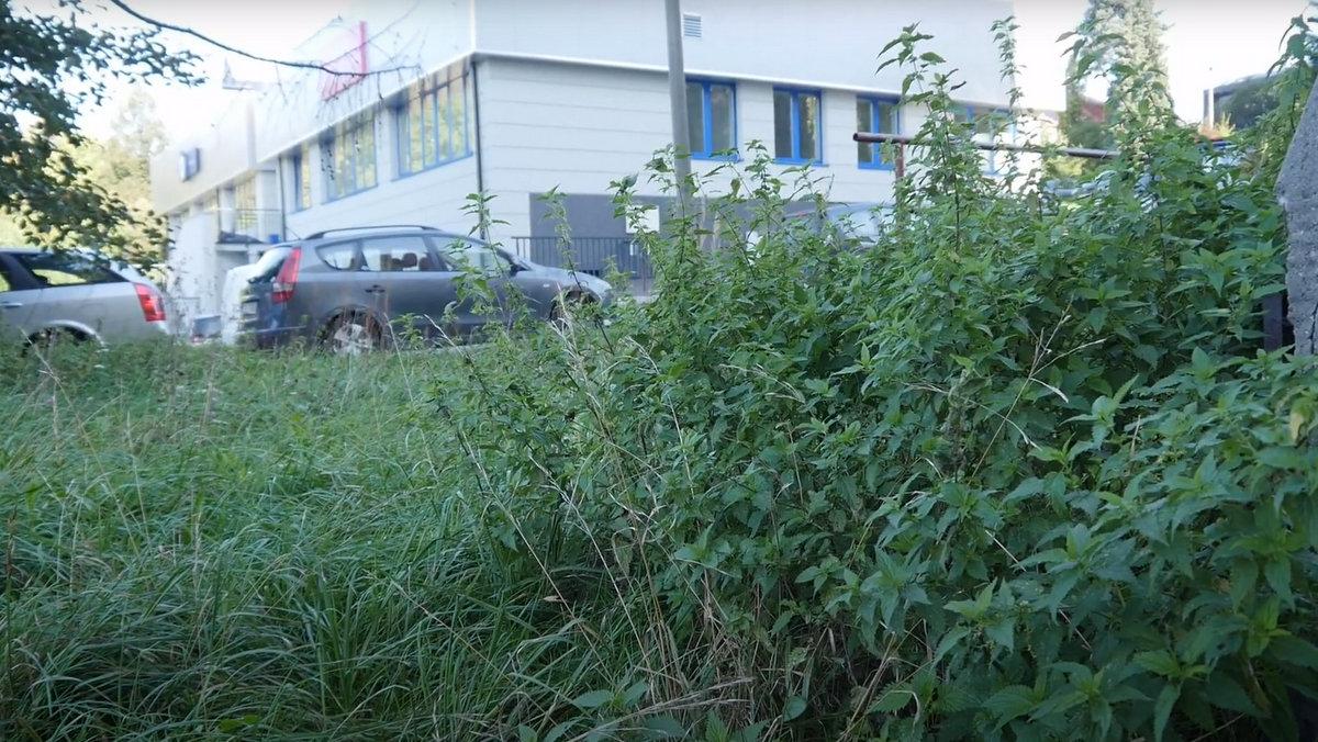 Trawa przy Grunwaldzkiej zostanie niebawem skoszona