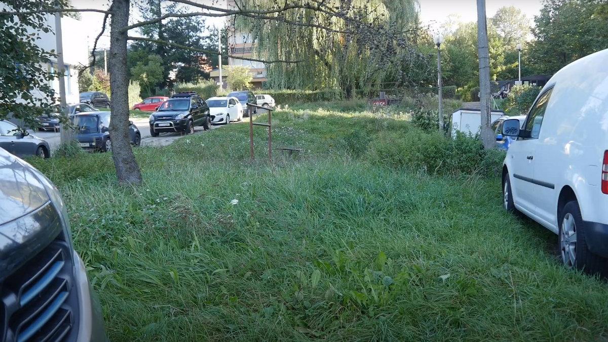 Nie koszą trawy bo jest zbyt wysoka - żali się mieszkanka centrum Jaworzna