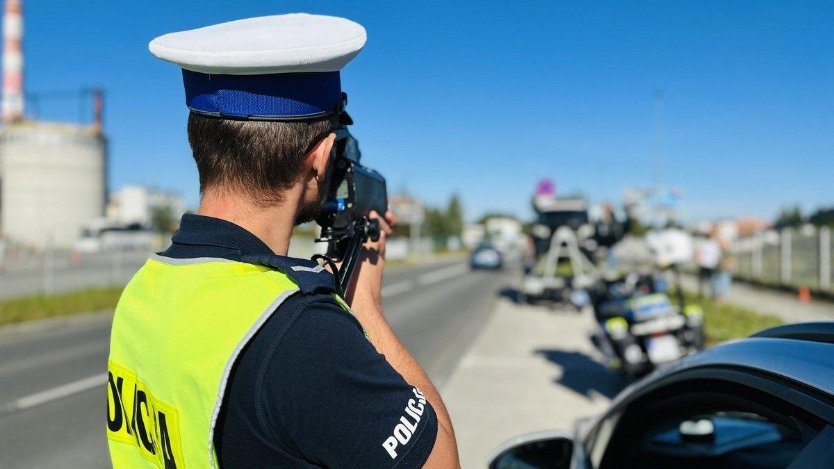 W jeden dzień ujawnili 81 wykroczeń i nałożyli 67 mandatów