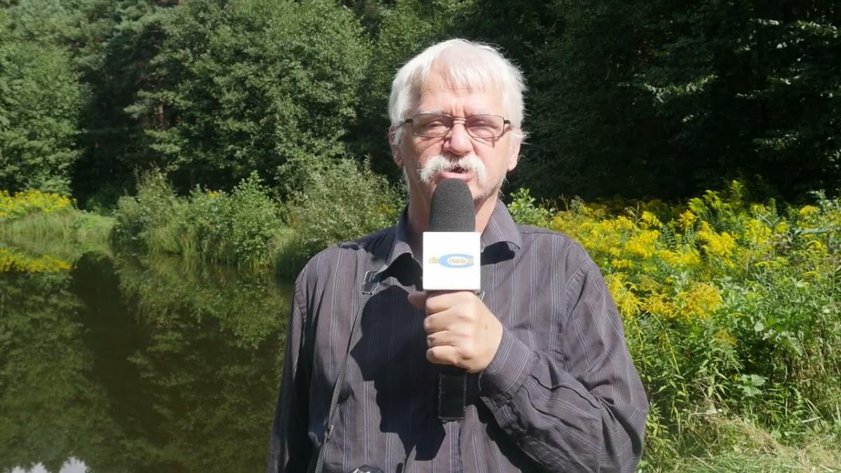 Zaniedbany Suchy Staw